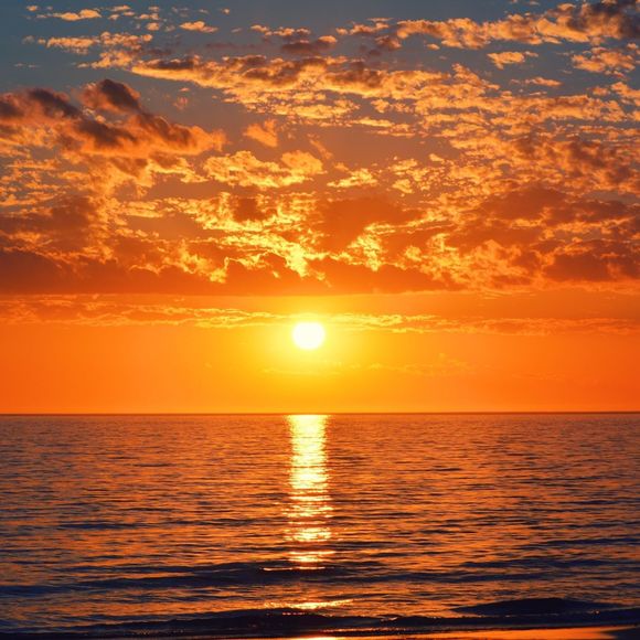 Meet your Posher, Luismario - Picture 1 of 1